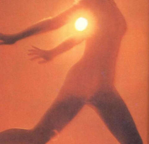 IMG 2338 e17675622908601